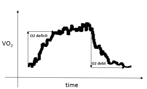O2 deficit and O2 debt